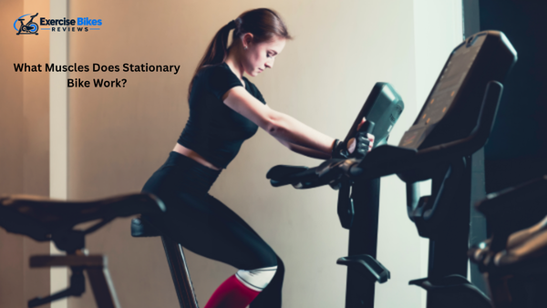 what muscles does stationary bike work