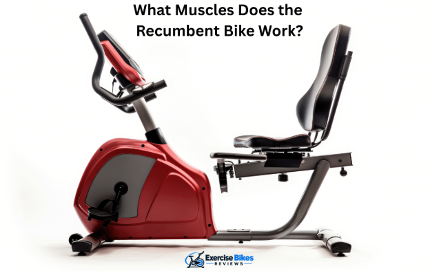 what muscles does the recumbent bike work